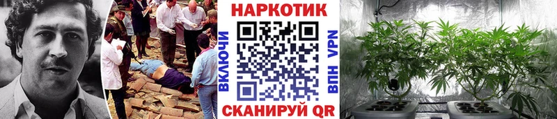 Купить наркотики цена Собинка Cocaine  СОЛЬ  ГАШ 