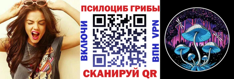сайты даркнета официальный сайт  Собинка  Псилоцибиновые грибы GOLDEN TEACHER 